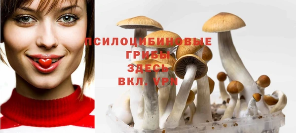 соль курить ск Гусиноозёрск